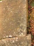 image of grave number 219816